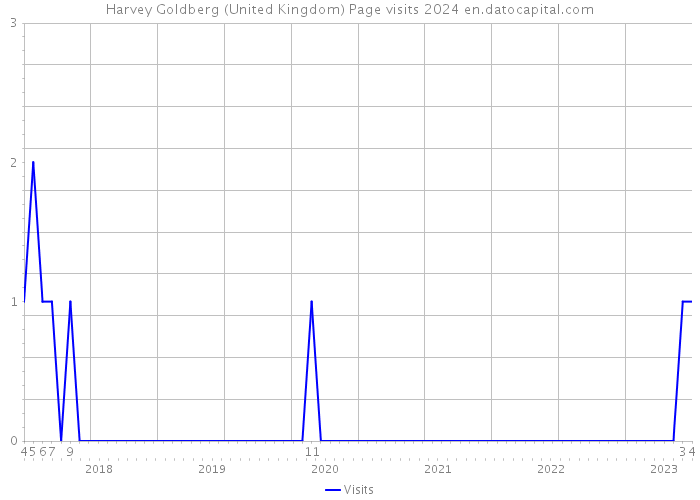 Harvey Goldberg (United Kingdom) Page visits 2024 