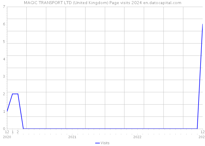 MAGIC TRANSPORT LTD (United Kingdom) Page visits 2024 
