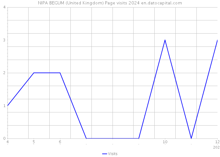 NIPA BEGUM (United Kingdom) Page visits 2024 
