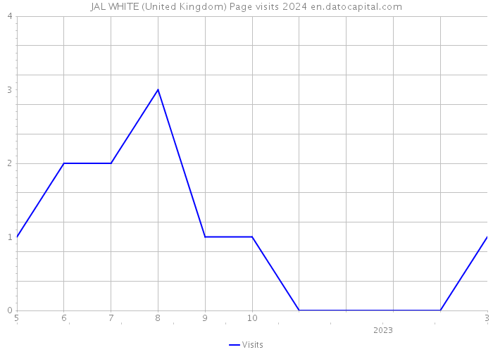 JAL WHITE (United Kingdom) Page visits 2024 