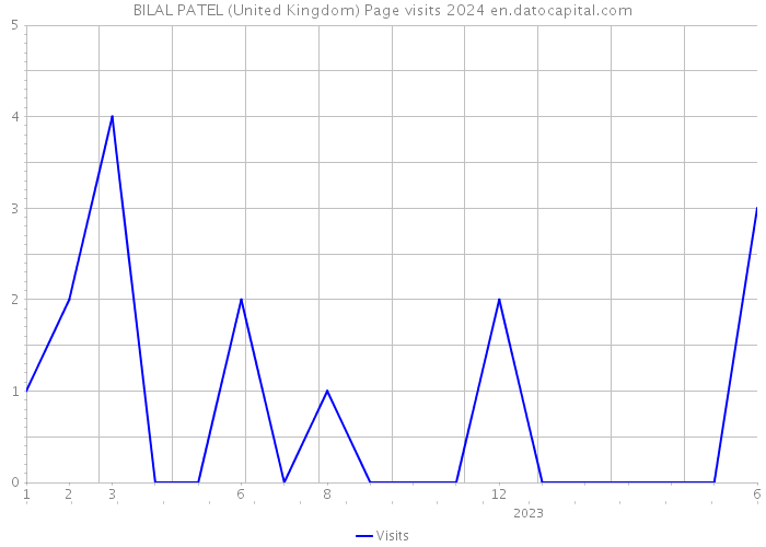 BILAL PATEL (United Kingdom) Page visits 2024 