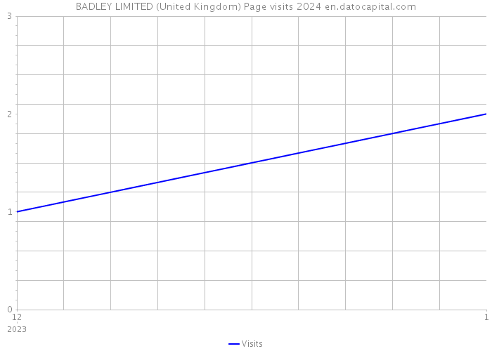 BADLEY LIMITED (United Kingdom) Page visits 2024 