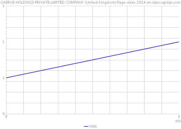 CAERUS HOLDINGS PRIVATE LIMITED COMPANY (United Kingdom) Page visits 2024 