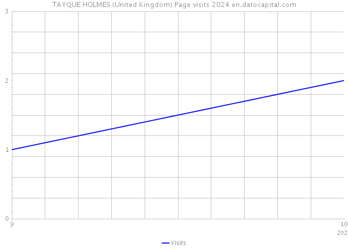 TAYQUE HOLMES (United Kingdom) Page visits 2024 