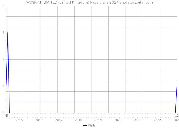 WOSP(NI) LIMITED (United Kingdom) Page visits 2024 