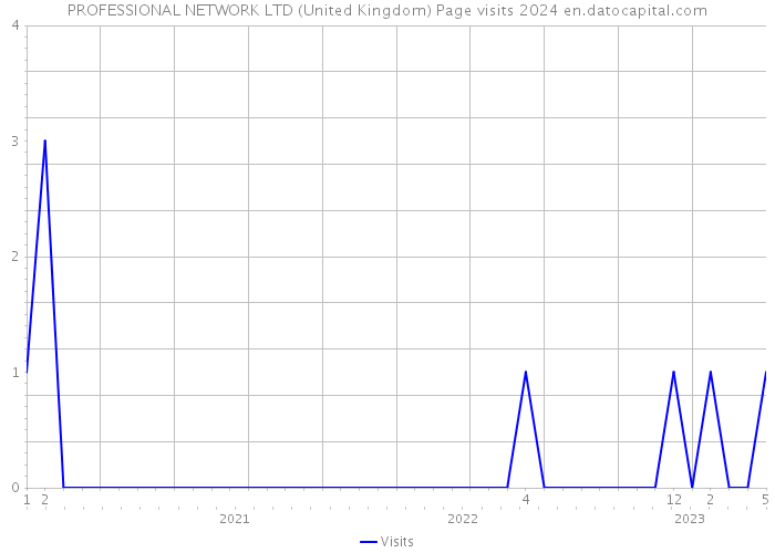 PROFESSIONAL NETWORK LTD (United Kingdom) Page visits 2024 