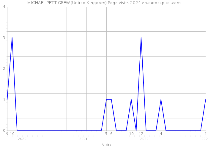 MICHAEL PETTIGREW (United Kingdom) Page visits 2024 