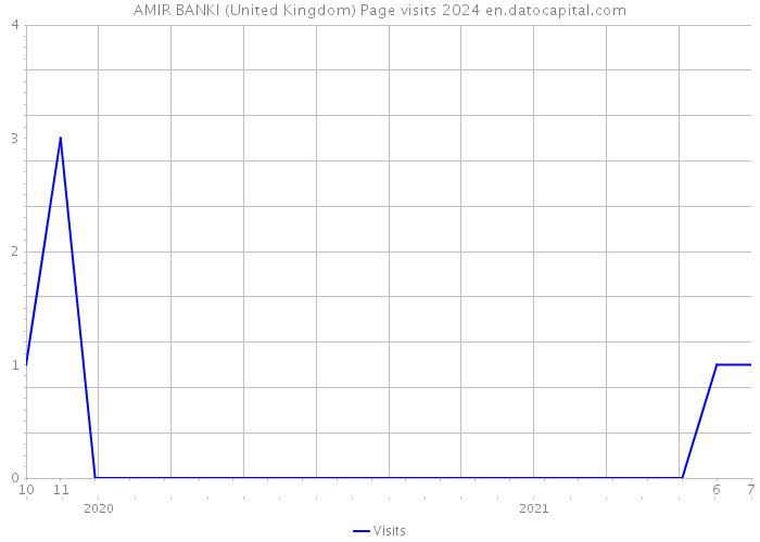 AMIR BANKI (United Kingdom) Page visits 2024 