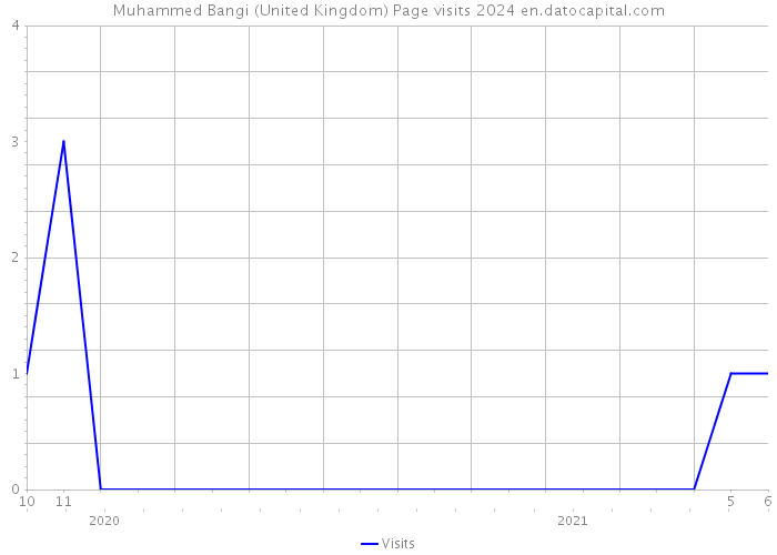Muhammed Bangi (United Kingdom) Page visits 2024 