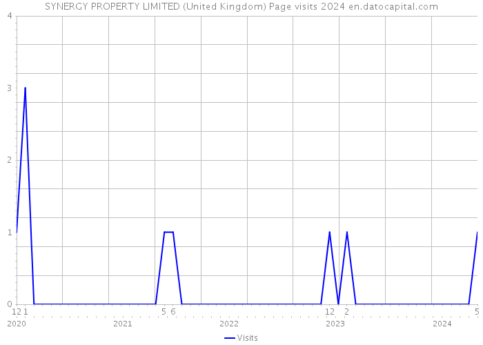 SYNERGY PROPERTY LIMITED (United Kingdom) Page visits 2024 