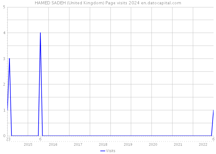 HAMED SADEH (United Kingdom) Page visits 2024 