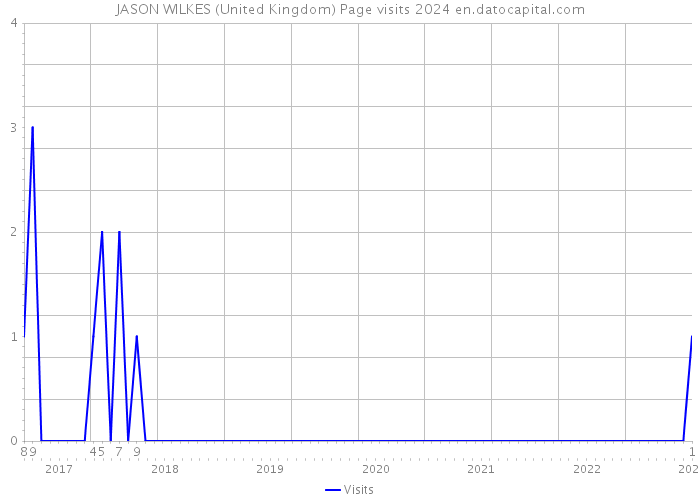 JASON WILKES (United Kingdom) Page visits 2024 