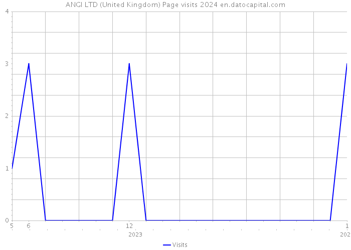 ANGI LTD (United Kingdom) Page visits 2024 