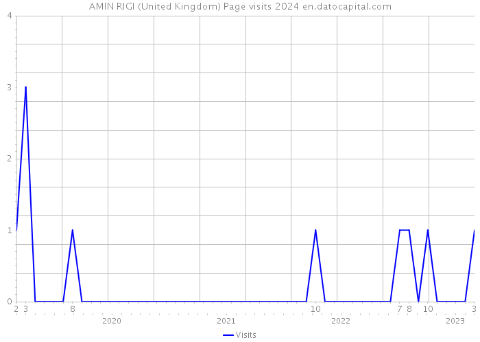 AMIN RIGI (United Kingdom) Page visits 2024 