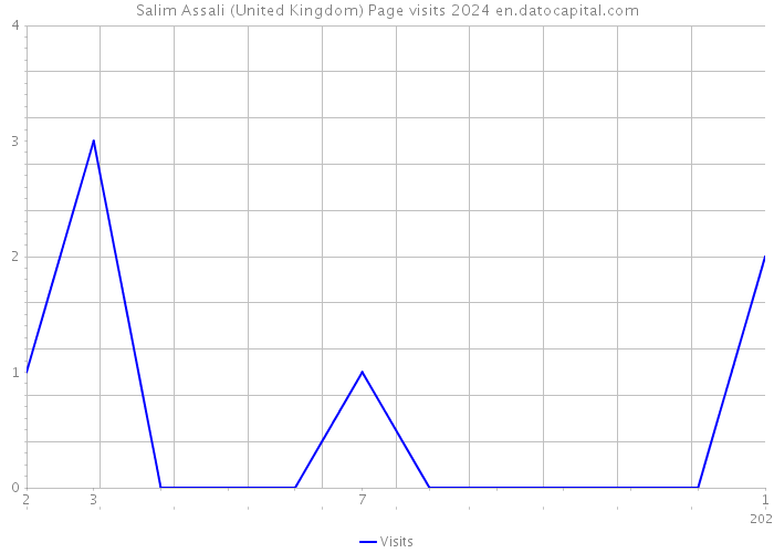 Salim Assali (United Kingdom) Page visits 2024 