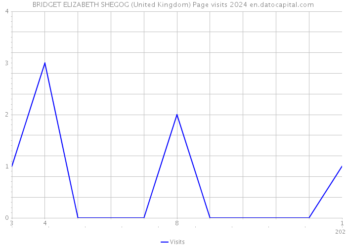 BRIDGET ELIZABETH SHEGOG (United Kingdom) Page visits 2024 