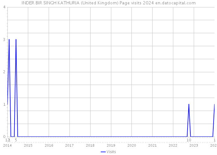 INDER BIR SINGH KATHURIA (United Kingdom) Page visits 2024 