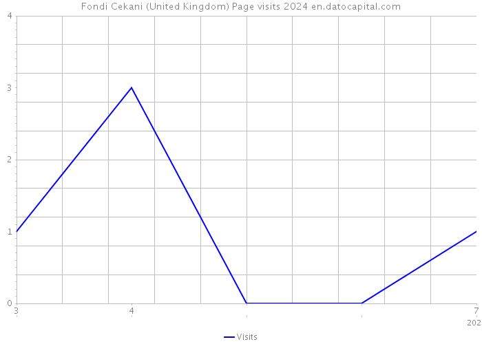 Fondi Cekani (United Kingdom) Page visits 2024 