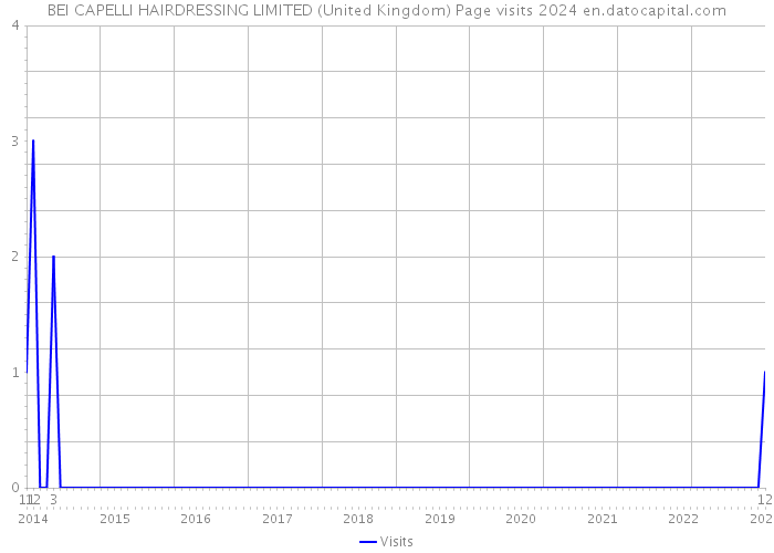 BEI CAPELLI HAIRDRESSING LIMITED (United Kingdom) Page visits 2024 