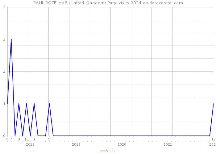 PAUL ROZELAAR (United Kingdom) Page visits 2024 