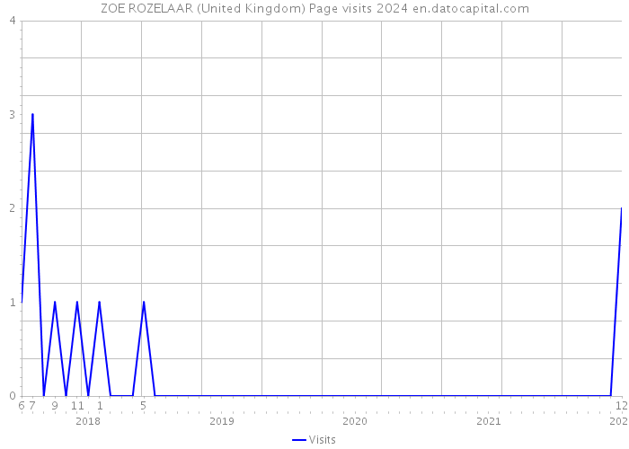 ZOE ROZELAAR (United Kingdom) Page visits 2024 