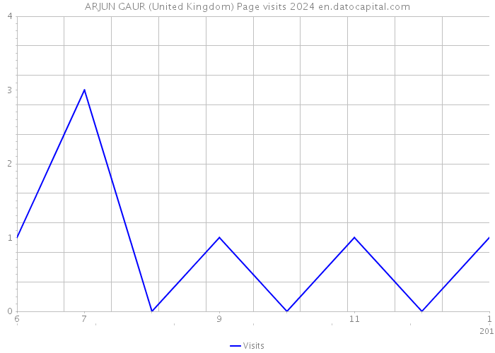 ARJUN GAUR (United Kingdom) Page visits 2024 