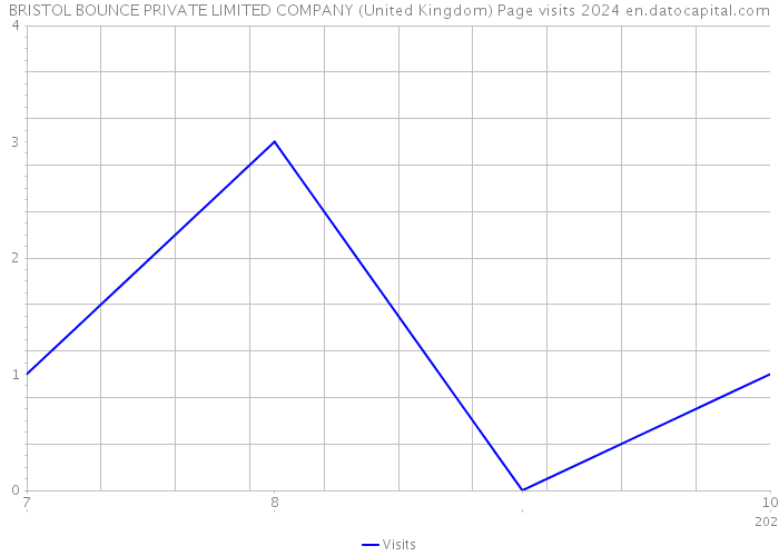 BRISTOL BOUNCE PRIVATE LIMITED COMPANY (United Kingdom) Page visits 2024 