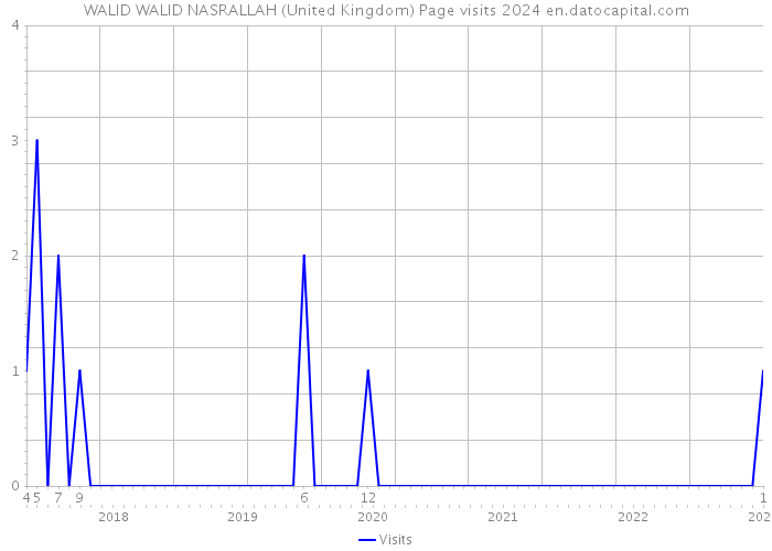 WALID WALID NASRALLAH (United Kingdom) Page visits 2024 