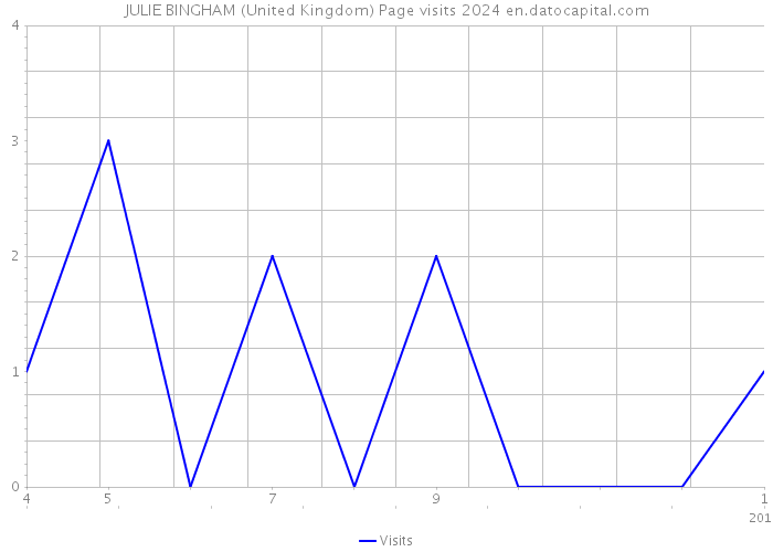 JULIE BINGHAM (United Kingdom) Page visits 2024 