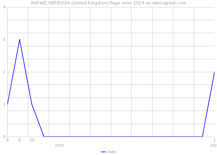 RAFAEL MENDOZA (United Kingdom) Page visits 2024 