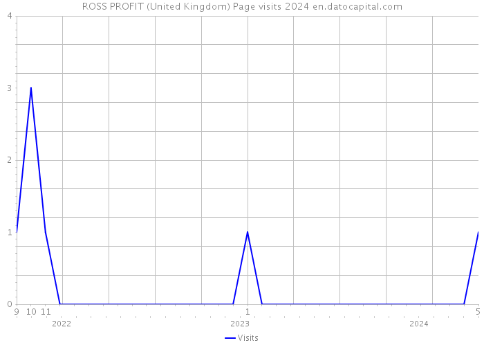 ROSS PROFIT (United Kingdom) Page visits 2024 