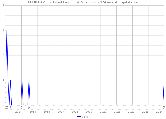 BEKIR KAVUT (United Kingdom) Page visits 2024 