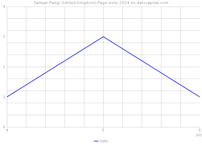 Samyar Pangi (United Kingdom) Page visits 2024 