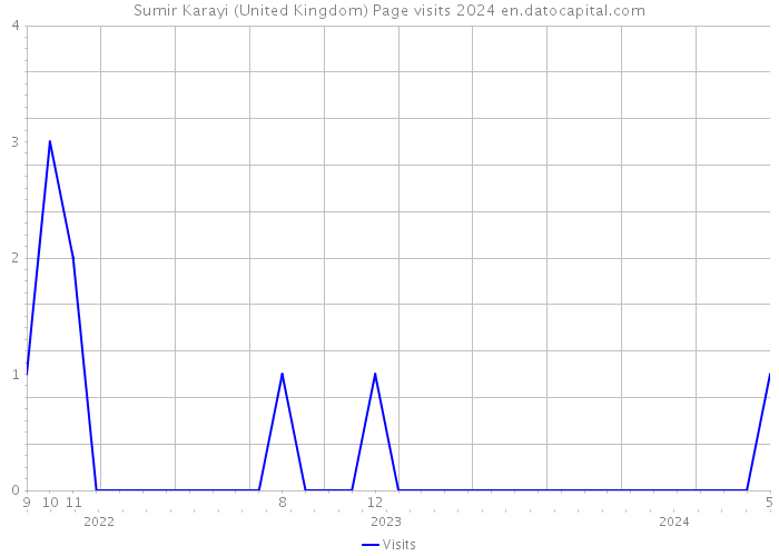 Sumir Karayi (United Kingdom) Page visits 2024 