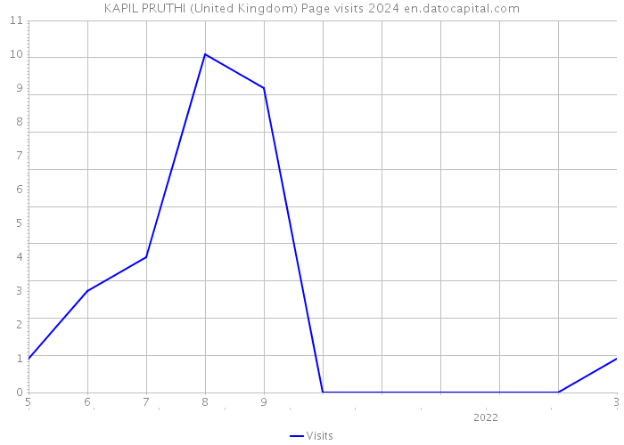 KAPIL PRUTHI (United Kingdom) Page visits 2024 