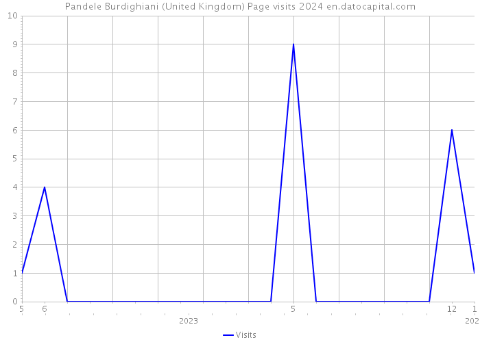 Pandele Burdighiani (United Kingdom) Page visits 2024 