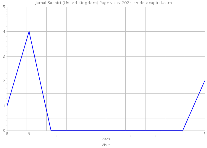 Jamal Bachiri (United Kingdom) Page visits 2024 