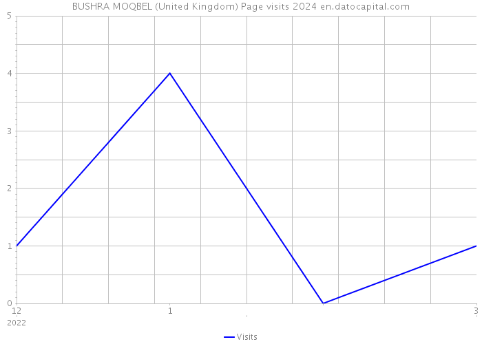 BUSHRA MOQBEL (United Kingdom) Page visits 2024 