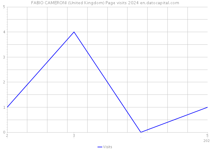 FABIO CAMERONI (United Kingdom) Page visits 2024 