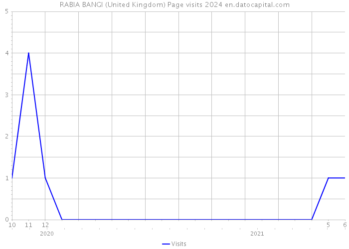 RABIA BANGI (United Kingdom) Page visits 2024 