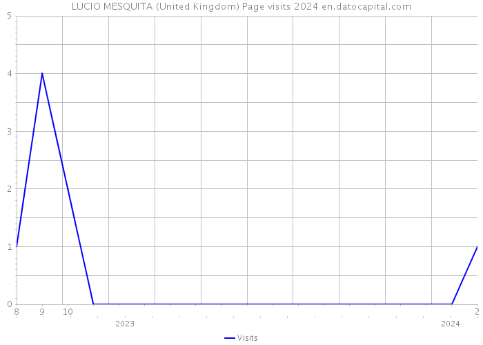 LUCIO MESQUITA (United Kingdom) Page visits 2024 
