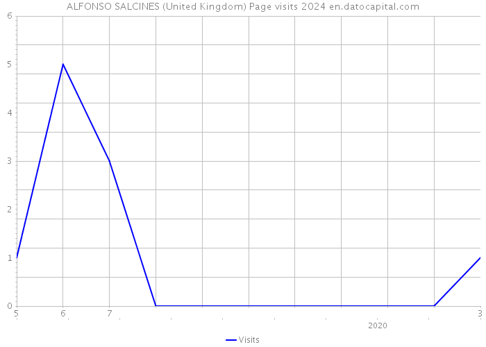 ALFONSO SALCINES (United Kingdom) Page visits 2024 