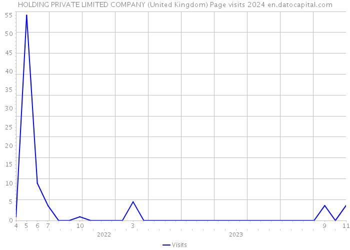 HOLDING PRIVATE LIMITED COMPANY (United Kingdom) Page visits 2024 