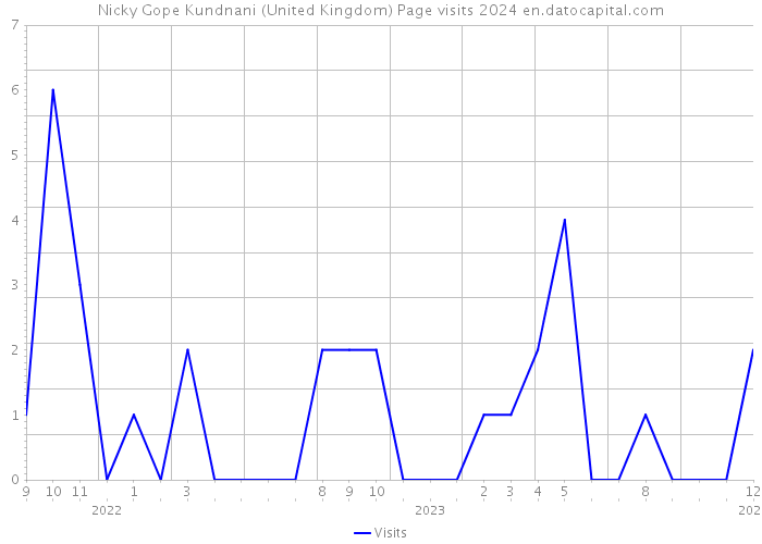 Nicky Gope Kundnani (United Kingdom) Page visits 2024 