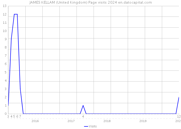 JAMES KELLAM (United Kingdom) Page visits 2024 