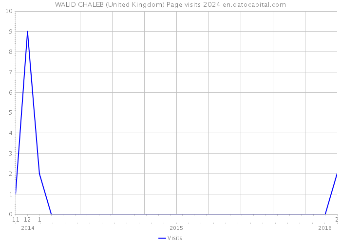 WALID GHALEB (United Kingdom) Page visits 2024 