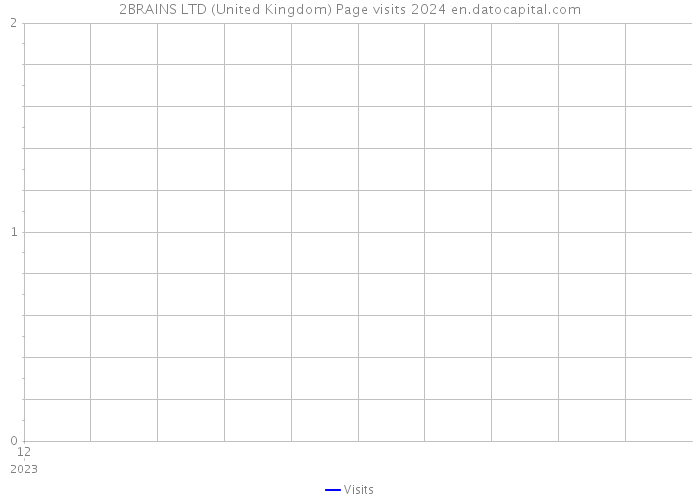 2BRAINS LTD (United Kingdom) Page visits 2024 
