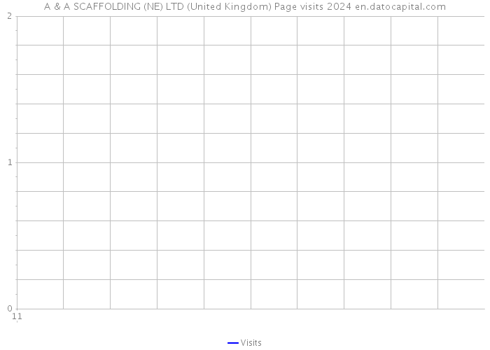 A & A SCAFFOLDING (NE) LTD (United Kingdom) Page visits 2024 