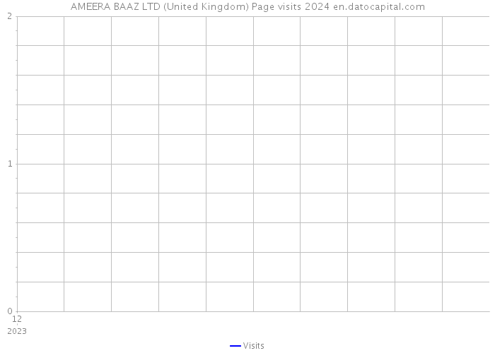 AMEERA BAAZ LTD (United Kingdom) Page visits 2024 
