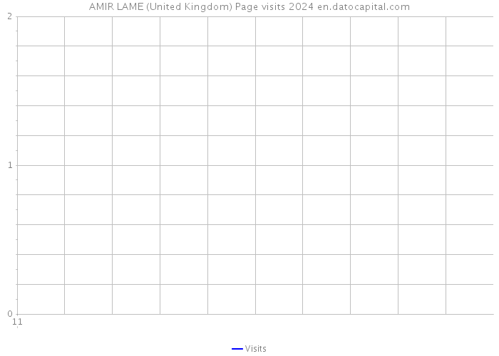 AMIR LAME (United Kingdom) Page visits 2024 